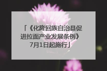 《化隆回族自治县促进拉面产业发展条例》7月1日起施行