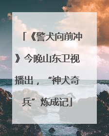 《警犬向前冲》今晚山东卫视播出，“神犬奇兵”炼成记