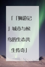 「狮游记」城市与候鸟的生态共生传奇