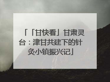 「甘快看」甘肃灵台：津甘共建下的针灸小镇振兴记