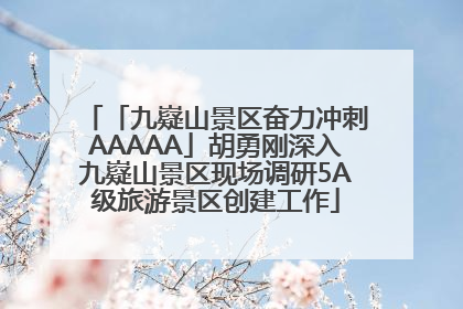 「九嶷山景区奋力冲刺AAAAA」胡勇刚深入九嶷山景区现场调研5A级旅游景区创建工作