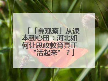 「冀观察」从课本到心田：河北如何让思政教育真正“活起来”？