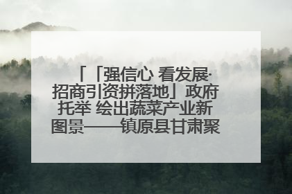 「强信心 看发展·招商引资拼落地」政府托举 绘出蔬菜产业新图景——镇原县甘肃聚广利现代设施蔬菜种植基地见闻