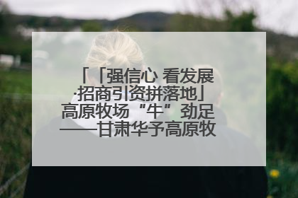 「强信心 看发展·招商引资拼落地」高原牧场“牛”劲足——甘肃华予高原牧场高标准奶牛肉牛养殖项目一线见闻
