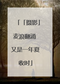 「摄影」麦浪翻涌 又是一年夏收时