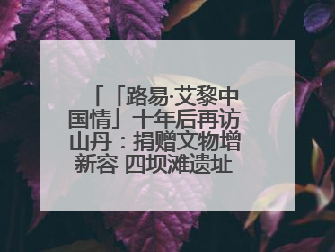 「路易·艾黎中国情」十年后再访山丹：捐赠文物增新容 四坝滩遗址诉说历史沧桑