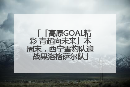 「高原GOAL精彩 青超向未来」本周末，西宁雪豹队迎战果洛格萨尔队
