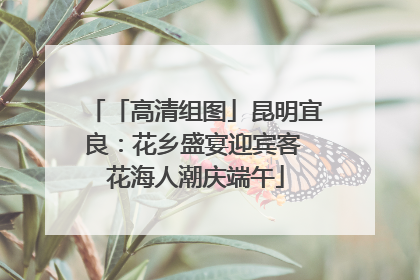 「高清组图」昆明宜良：花乡盛宴迎宾客 花海人潮庆端午