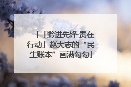 「黔进先锋·贵在行动」赵大志的“民生账本”画满勾勾