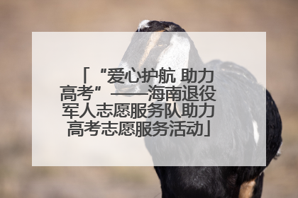 “爱心护航 助力高考”——海南退役军人志愿服务队助力高考志愿服务活动
