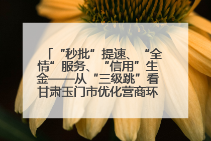 “秒批”提速、“全情”服务、“信用”生金——从“三级跳”看甘肃玉门市优化营商环境的进阶之路