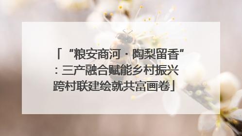“粮安商河・陶梨留香”：三产融合赋能乡村振兴 跨村联建绘就共富画卷
