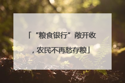 “粮食银行”敞开收，农民不再愁存粮