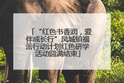 “红色书香润，爱伴成长行”凤城镇福蕾行动计划红色研学活动圆满结束