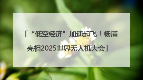“低空经济”加速起飞！杨浦亮相2025世界无人机大会