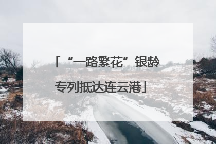 “一路繁花”银龄专列抵达连云港