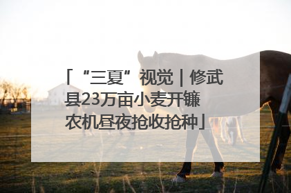 “三夏”视觉｜修武县23万亩小麦开镰 农机昼夜抢收抢种