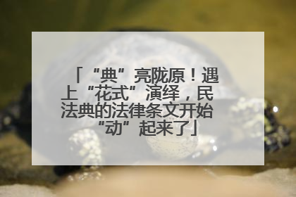 “典”亮陇原！遇上“花式”演绎，民法典的法律条文开始“动”起来了