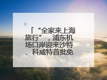 “全家来上海旅行”，浦东机场口岸迎来沙特、科威特首批免签入境旅客