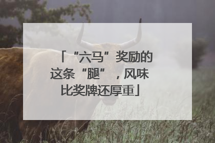 “六马”奖励的这条“腿”，风味比奖牌还厚重