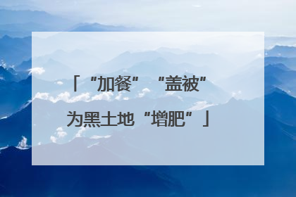 “加餐”“盖被” 为黑土地“增肥”