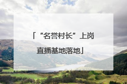 “名誉村长”上岗 直播基地落地