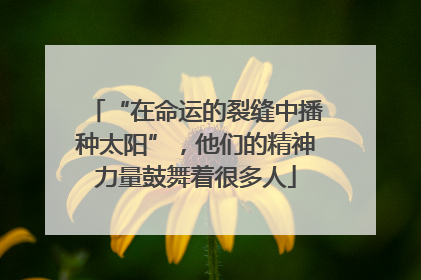 “在命运的裂缝中播种太阳”，他们的精神力量鼓舞着很多人