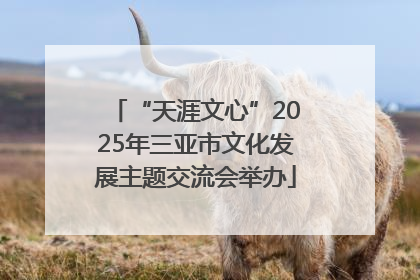 “天涯文心”2025年三亚市文化发展主题交流会举办