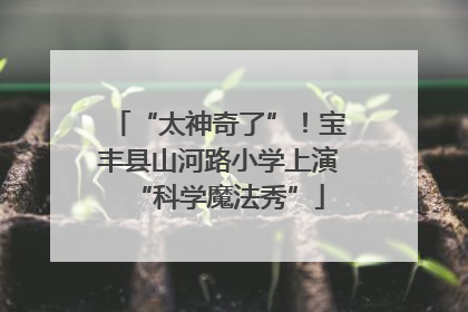 “太神奇了”！宝丰县山河路小学上演“科学魔法秀”
