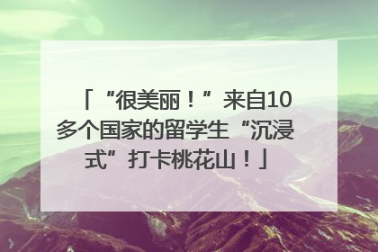“很美丽！”来自10多个国家的留学生“沉浸式”打卡桃花山！