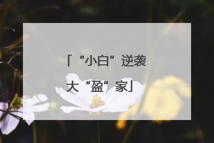 “小白”逆袭大“盈”家