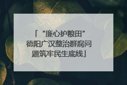 “廉心护粮田” 德阳广汉整治群腐问题筑牢民生底线