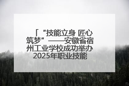 “技能立身 匠心筑梦”——安徽省宿州工业学校成功举办2025年职业技能活动周各项活动