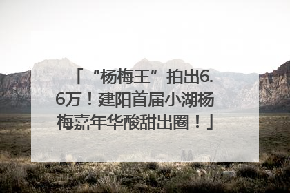 “杨梅王”拍出6.6万！建阳首届小湖杨梅嘉年华酸甜出圈！