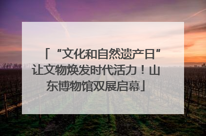 “文化和自然遗产日”让文物焕发时代活力！山东博物馆双展启幕