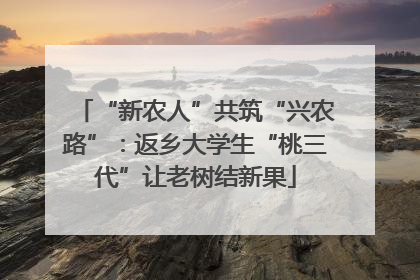 “新农人”共筑“兴农路”：返乡大学生“桃三代”让老树结新果