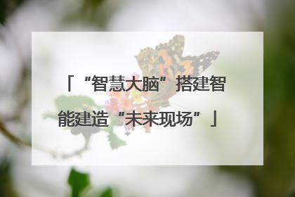 “智慧大脑”搭建智能建造“未来现场”