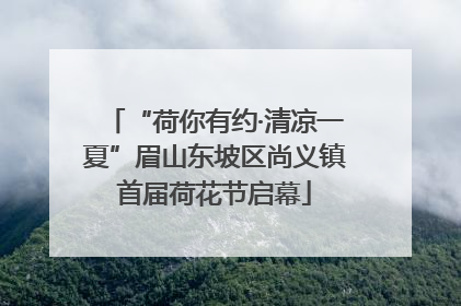 “荷你有约·清凉一夏”眉山东坡区尚义镇首届荷花节启幕