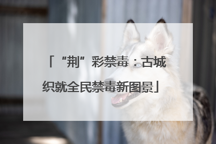 “荆”彩禁毒：古城织就全民禁毒新图景