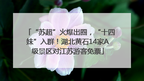 “苏超”火爆出圈，“十四妹”入群！湖北黄石14家A级景区对江苏游客免票
