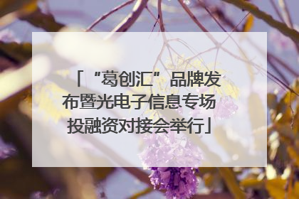 “葛创汇”品牌发布暨光电子信息专场投融资对接会举行