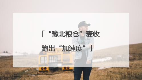 “豫北粮仓”麦收跑出“加速度”