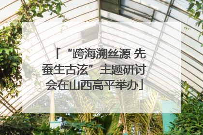 “跨海溯丝源 先蚕生古泫”主题研讨会在山西高平举办