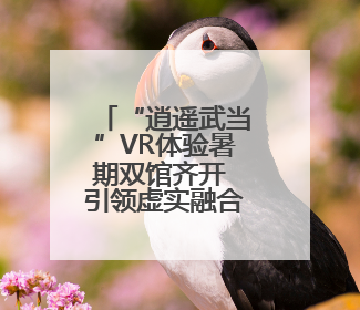 “逍遥武当”VR体验暑期双馆齐开 引领虚实融合文旅新体验