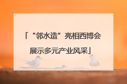 “邻水造”亮相西博会 展示多元产业风采