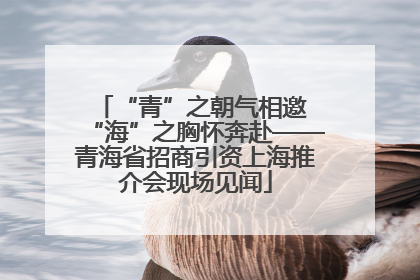 “青”之朝气相邀 “海”之胸怀奔赴——青海省招商引资上海推介会现场见闻