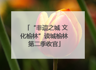 “非遗之城 文化榆林”读城榆林第二季收官
