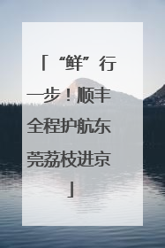 “鲜”行一步！顺丰全程护航东莞荔枝进京