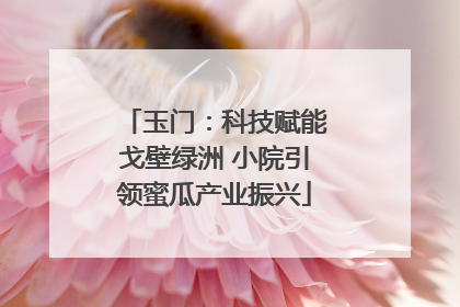 玉门：科技赋能戈壁绿洲 小院引领蜜瓜产业振兴