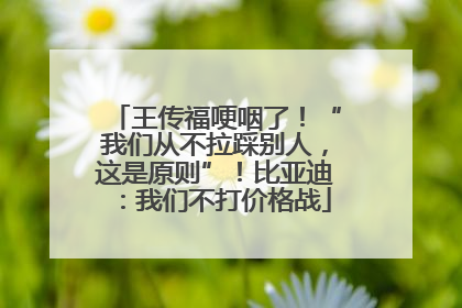 王传福哽咽了！“我们从不拉踩别人，这是原则”！比亚迪：我们不打价格战